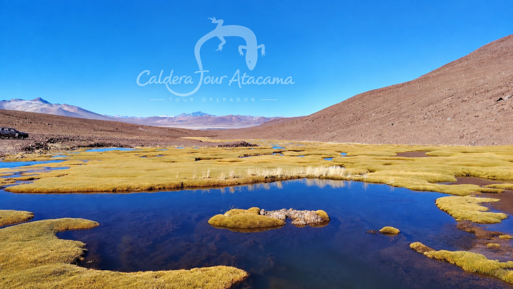 Humedal altoandino en Atacama High Altitude