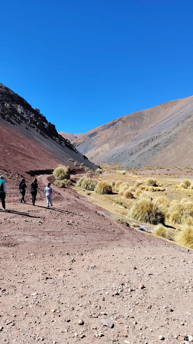 Grupo caminando durante la primera aclimatación en altura