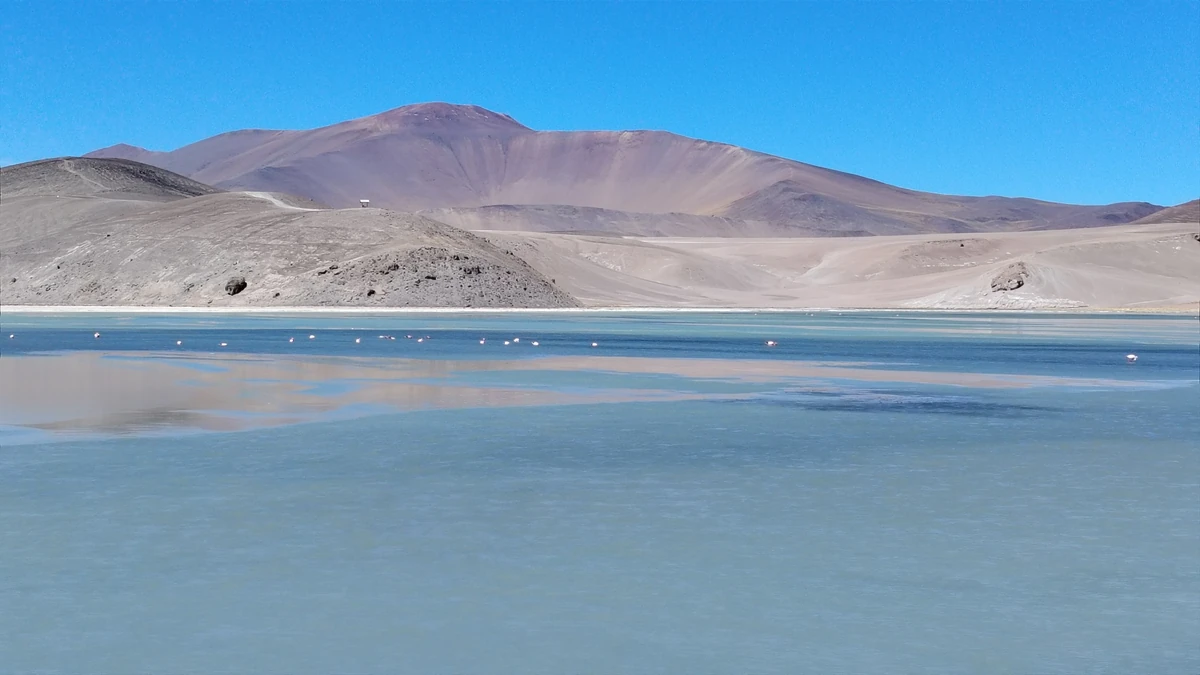 Paisaje amplio del Salar de Maricunga con agua y cordillera